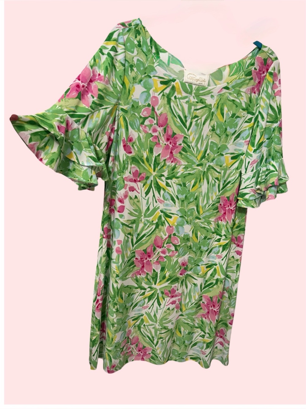 Pappagallo Green & Pink Floral Shift Dress